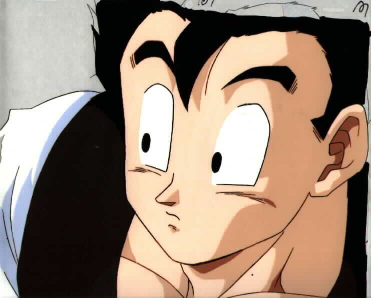 Otaku Gallery  / Anime e Manga / Dragon Ball / Cels / Gohan / 004.jpg